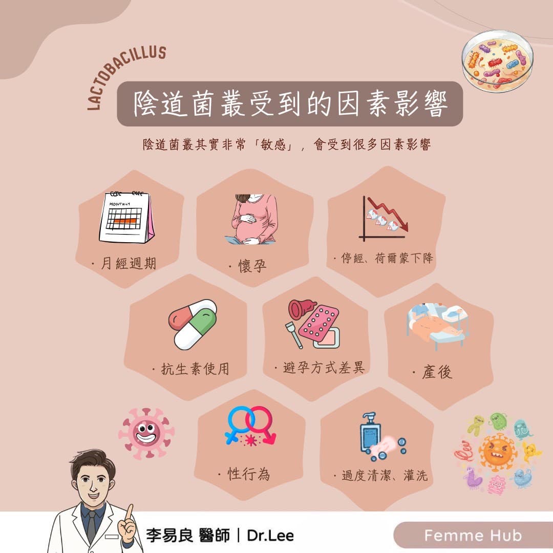 陰道也有「好菌」:為什麼乳酸桿菌這麼重要?2.jpg